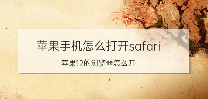 苹果手机怎么打开safari 苹果12的浏览器怎么开？